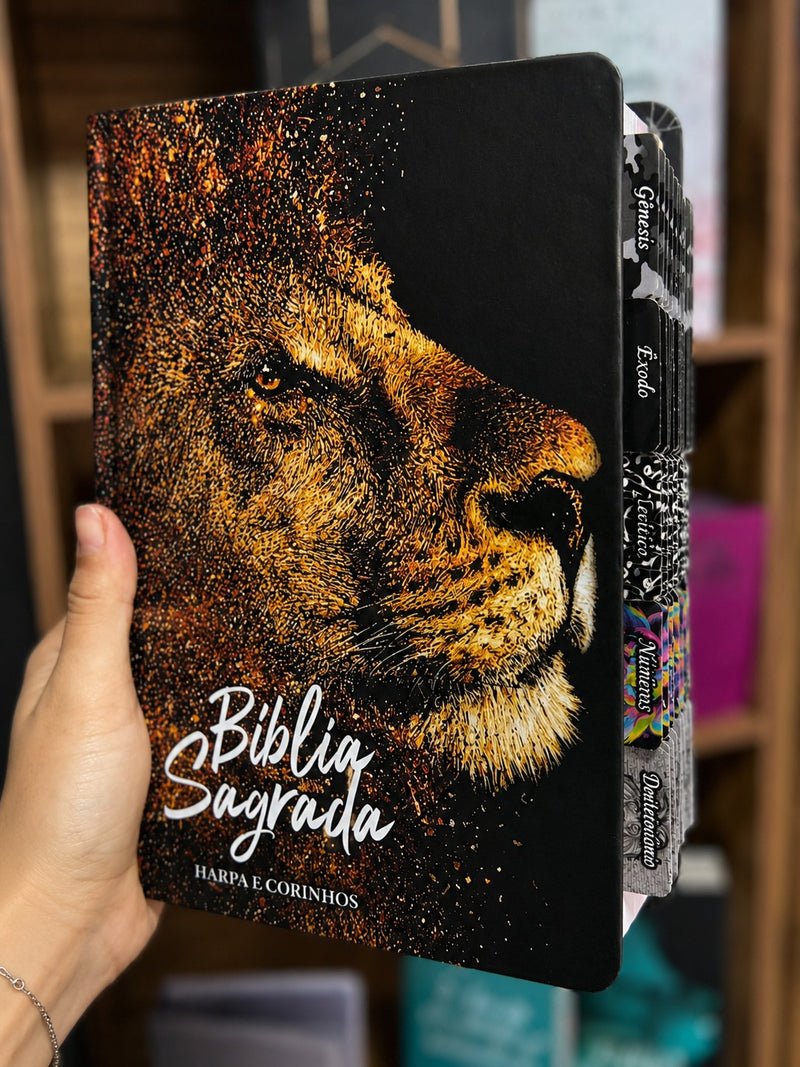 Bíblia Levantado por Deus Capa Dura Letra Hipergigante Com Abas Já Coladas Masculina Harpa -  Arc