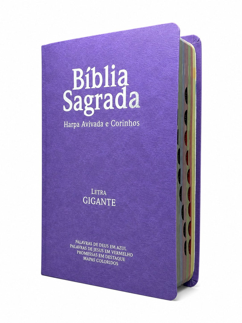 Bíblia Sagrada Com Harpa Cristã e Índice Capa Semiflexivel Evangélica Feminina Lilás Letra Gigante