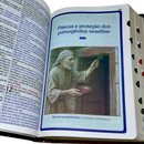 Bíblia Curas e Milagres Cor Marrom De Estudo Letra Gigante Capa Flexível Feminina e Masculina Kja Com Índice