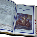 Bíblia Curas e Milagres Cor Preta De Estudo Letra Gigante Capa Flexível Feminina e Masculina Kja Com Índice