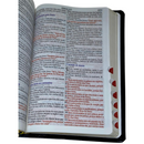 Bíblia Curas e Milagres Cor Preta De Estudo Letra Gigante Capa Flexível Feminina e Masculina Kja Com Índice