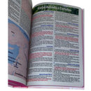 Bíblia Leão Seja Forte e Corajosa Cor Branca Letra Gigante Capa Dura Com Harpa Feminina Arc