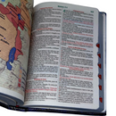 Bíblia Circulo Floral Preta Letra Gigante Capa Flexível Com Harpa e Índice Feminina Arc