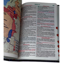 Bíblia Leão Estrela Color Letra Gigante Capa Flexível Com Harpa e Índice Masculina e Feminina Arc