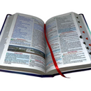 Bíblia Leão Estrela Color Letra Gigante Capa Flexível Com Harpa e Índice Masculina e Feminina Arc