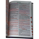 Bíblia Leão Estrela Color Letra Gigante Capa Flexível Com Harpa e Índice Masculina e Feminina Arc