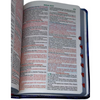 Bíblia Leão Cristo Vive Letra Gigante Capa Flexível Com Harpa e Índice Masculina Arc