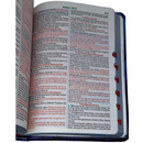 Bíblia Leão Cristo Vive Letra Gigante Capa Flexível Com Harpa e Índice Masculina Arc