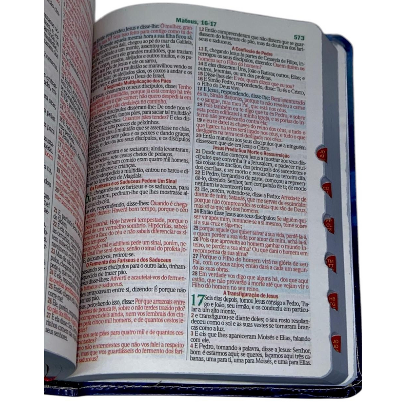 Bíblia Leão Cristo Vive Letra Gigante Capa Flexível Com Harpa e Índice Masculina Arc