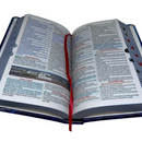 Bíblia Leão Cristo Vive Letra Gigante Capa Flexível Com Harpa e Índice Masculina Arc