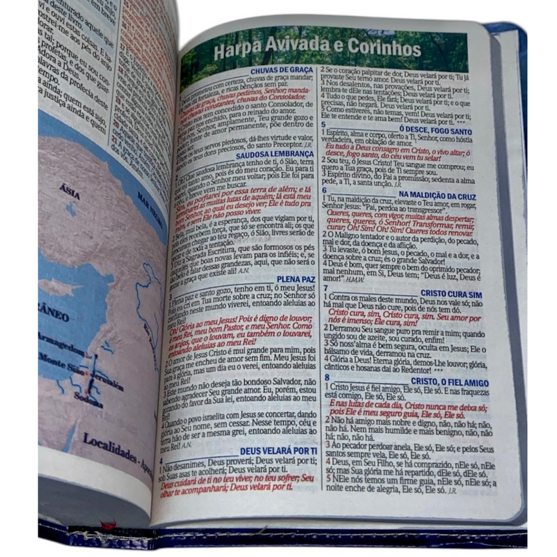 Bíblia Leão Cristo Vive Letra Gigante Capa Flexível Com Harpa e Índice Masculina Arc