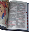 Bíblia Leão Cristo Vive Letra Gigante Capa Flexível Com Harpa e Índice Masculina Arc