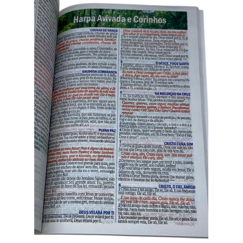 Bíblia Coroa Branca Letra Gigante Capa Brochura Com Harpa Masculina e Feminina Arc