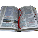 Bíblia Leão Girassol Letra Gigante Capa Flexível Com Harpa e Índice Feminina Arc