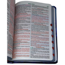 Bíblia Leão Jesus Letra Gigante Capa Flexível Com Harpa e Índice Masculina Arc