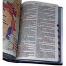 Bíblia Leão Jesus Letra Gigante Capa Flexível Com Harpa e Índice Masculina Arc