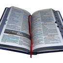 Bíblia Leão Jesus Letra Gigante Capa Dura Com Harpa e Índice Masculina Arc