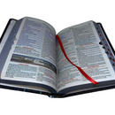 Bíblia Leão Sempre Foi Deus Letra Gigante Capa Flexível Com Harpa e Índice Masculina Arc