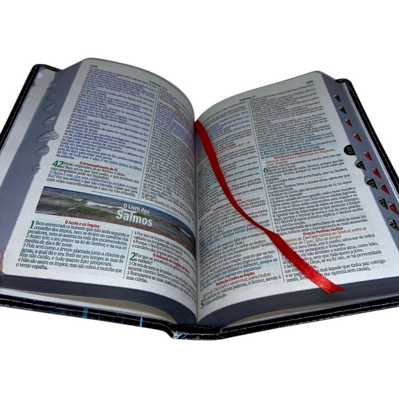 Bíblia Leão Sempre Foi Deus Letra Gigante Capa Flexível Com Harpa e Índice Masculina Arc