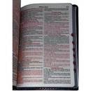 Bíblia Leão Sempre Foi Deus Letra Gigante Capa Flexível Com Harpa e Índice Masculina Arc