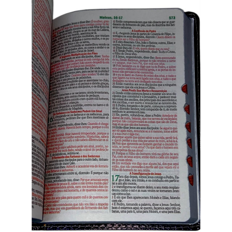 Bíblia Leão Sempre Foi Deus Letra Gigante Capa Flexível Com Harpa e Índice Masculina Arc