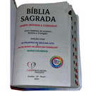 Bíblia Leão Visual Letra Gigante Capa Flexível Com Harpa e Índice Masculina Arc