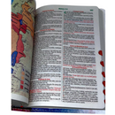 Bíblia Leão Visual Letra Gigante Capa Flexível Com Harpa e Índice Masculina Arc