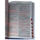 Bíblia Leão Visual Letra Gigante Capa Flexível Com Harpa e Índice Masculina Arc