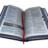 Bíblia Leão Yeshua Letra Gigante Capa Flexível Com Harpa e Índice Masculina Arc