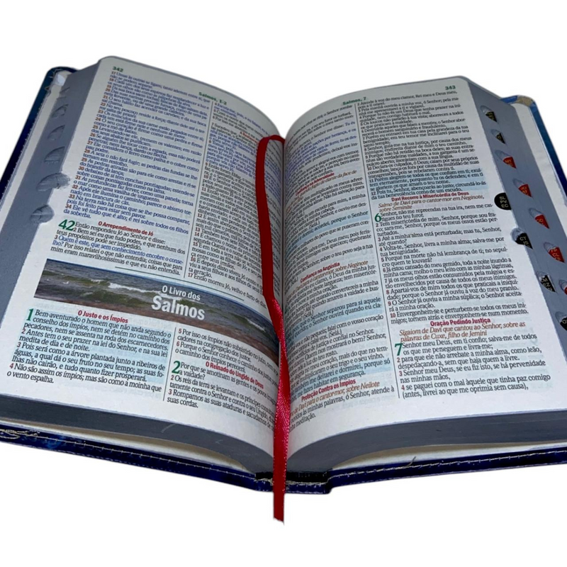 Bíblia Leão Yeshua Letra Gigante Capa Flexível Com Harpa e Índice Masculina Arc