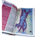 Bíblia Da Mulher Sábia Tulipa Branca De Estudo Letra Hipergigante Capa Flexível Com Harpa Feminina Arc