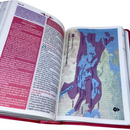 Bíblia Da Mulher Sábia Tulipa Pink De Estudo Letra Hipergigante Capa Flexível Com Harpa Feminina Arc