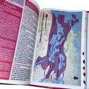 Bíblia Da Mulher Sábia Tulipa Pink De Estudo Letra Hipergigante Capa Flexível Com Harpa e Índice Feminina Arc