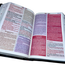 Bíblia Da Mulher Sábia Tulipa Preta De Estudo Letra Hipergigante Capa Flexível Com Harpa Feminina Arc