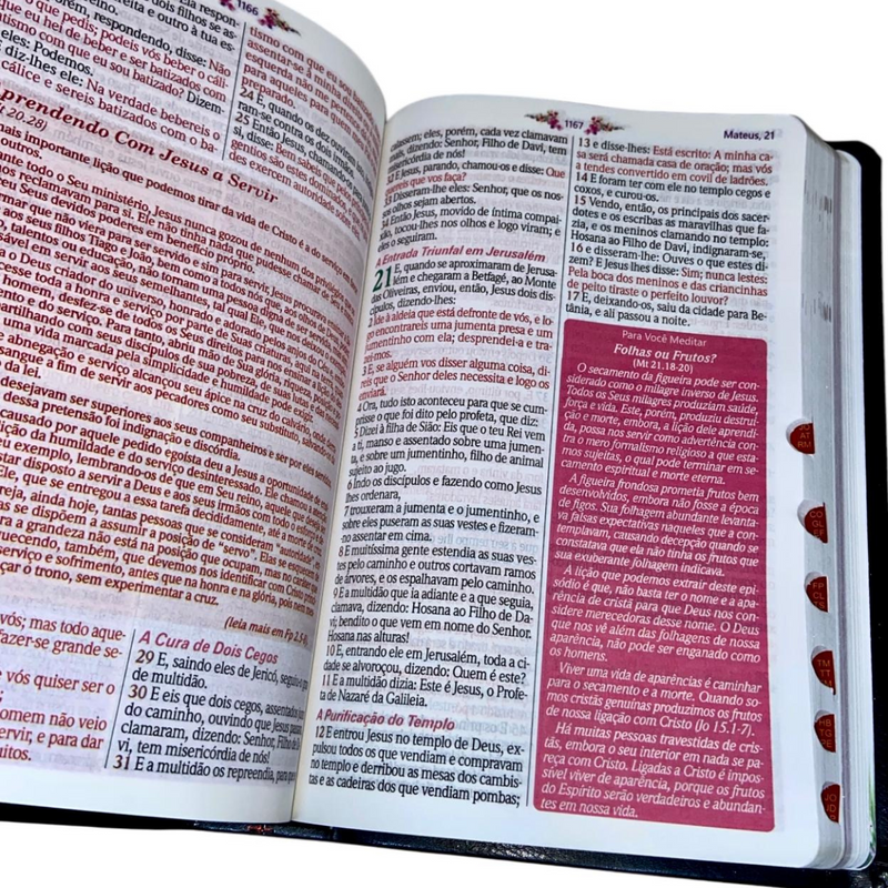 Bíblia Da Mulher Sábia Tulipa Preta De Estudo Letra Hipergigante Capa Flexível Com Harpa e Índice Feminina Arc