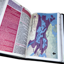 Bíblia Da Mulher Sábia Tulipa Preta De Estudo Letra Hipergigante Capa Flexível Com Harpa Feminina Arc