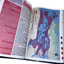 Bíblia Da Mulher Sábia Tulipa Preta De Estudo Letra Hipergigante Capa Flexível Com Harpa e Índice Feminina Arc