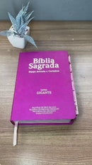 Bíblia Cor Pink PPM Letra Gigante com Abas Feminina Capa Semi Flexível Com Harpa  Arc