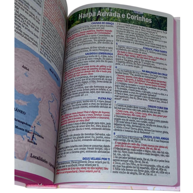 Bíblia Leão Seja Forte e Corajosa Cor Branca Letra Gigante Capa Dura Com Harpa E Índice Feminina Arc